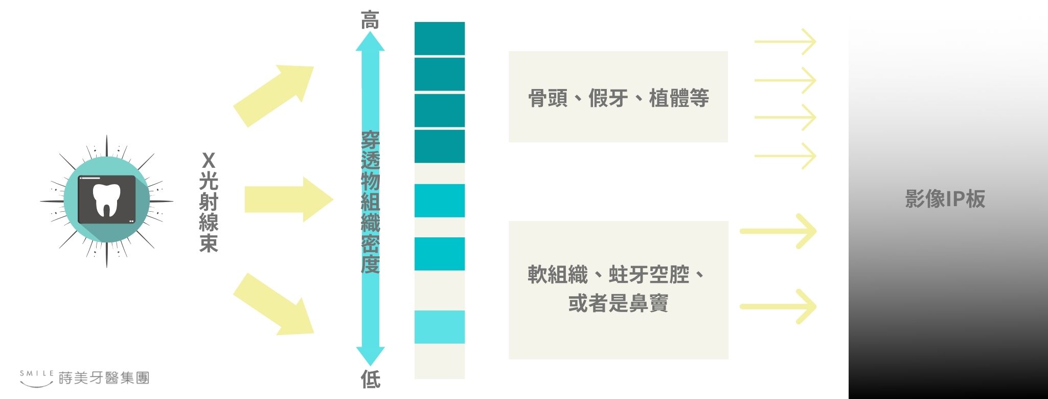 教你看X光 (1)