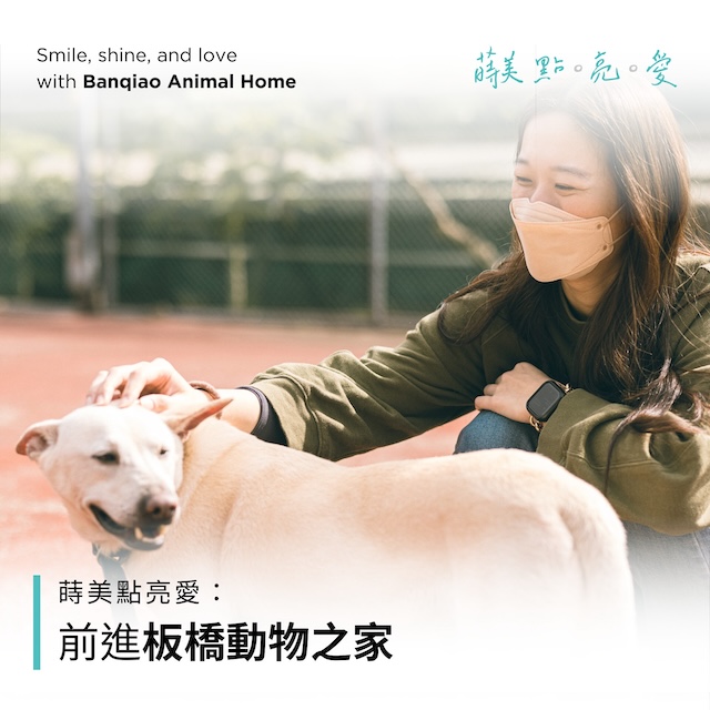 最新消息封面 - 37 蒔美點亮愛-前進板橋動物之家