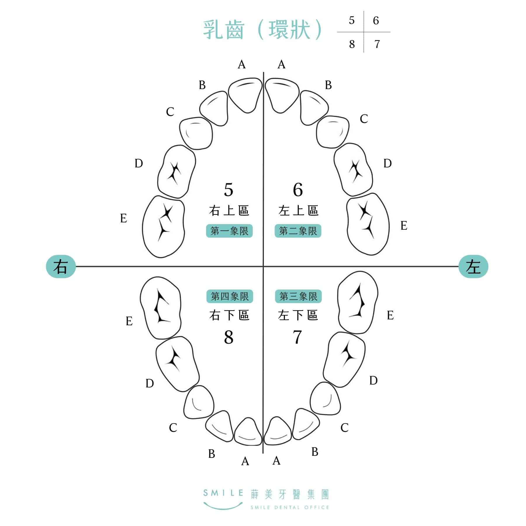 兒童隱適美的適合年齡？