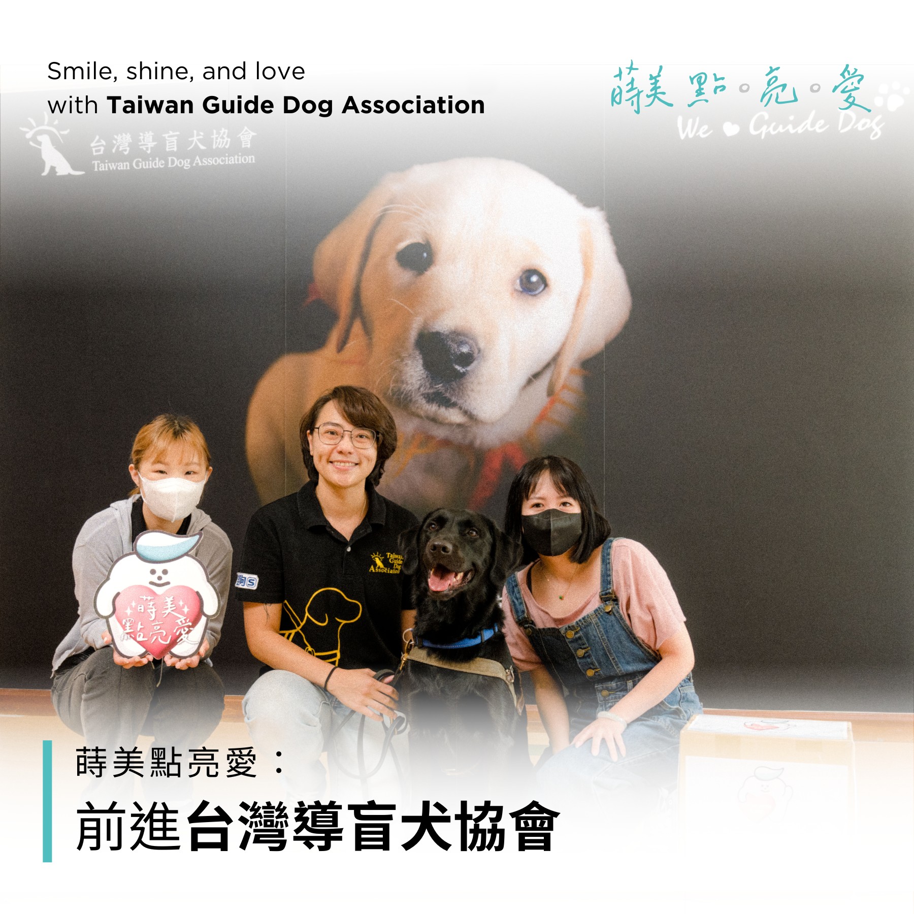 首頁/pc+ph/台灣導盲犬協會