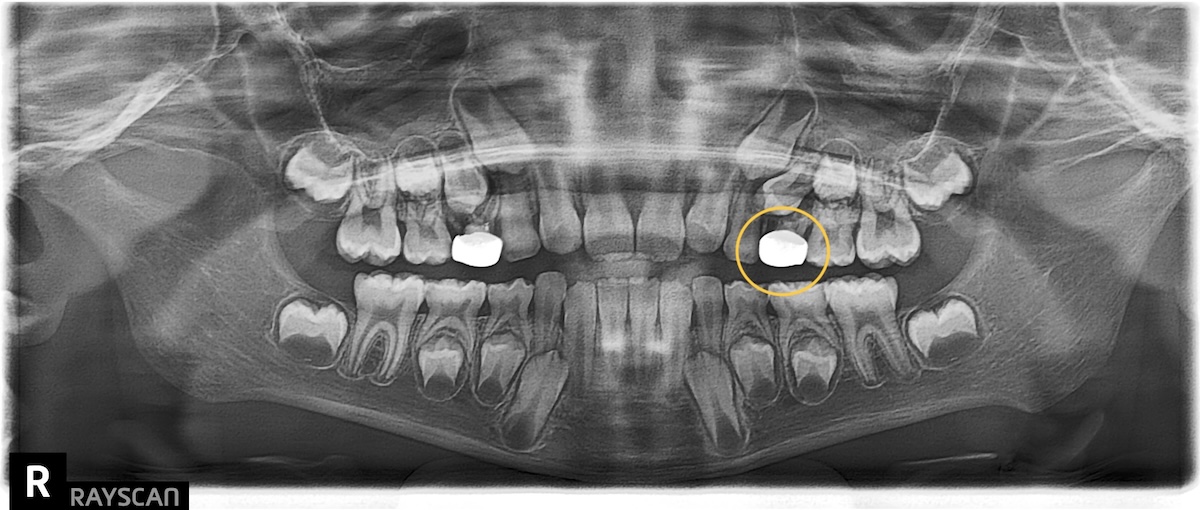 20251127021119330052965_1070831-1 (1)